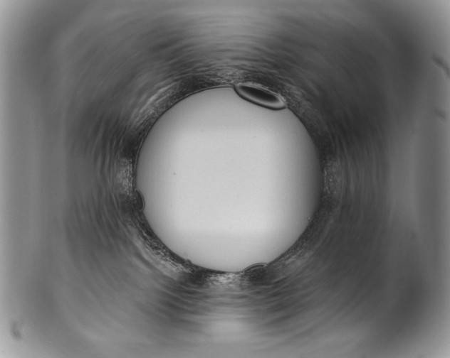 X0000100360092200806201614