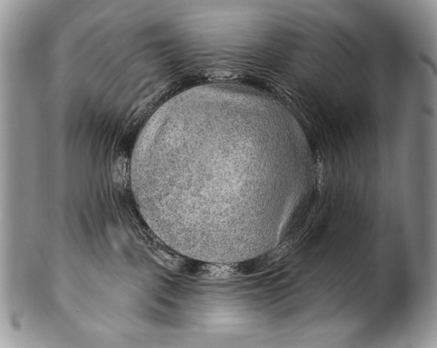 X0000100360093200806201614