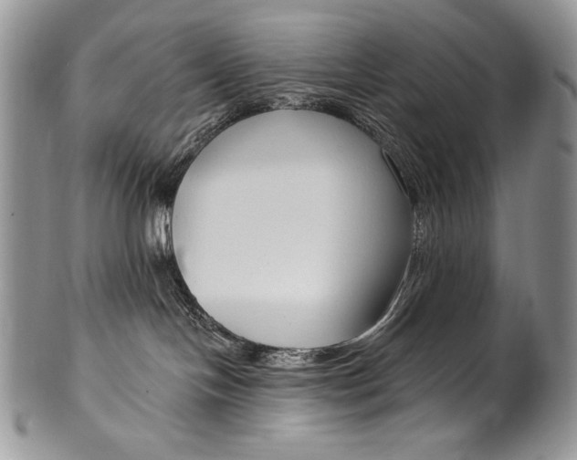 X0000100360094200806201614