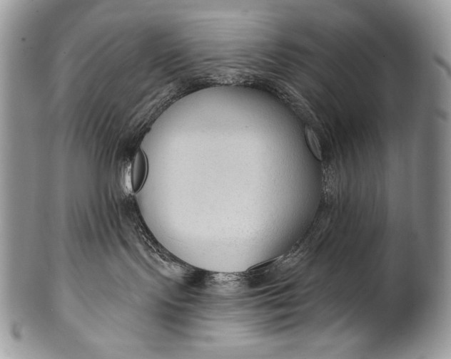 X0000100360095200806201614