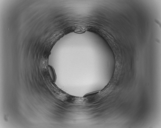 X0000100360096200806201614