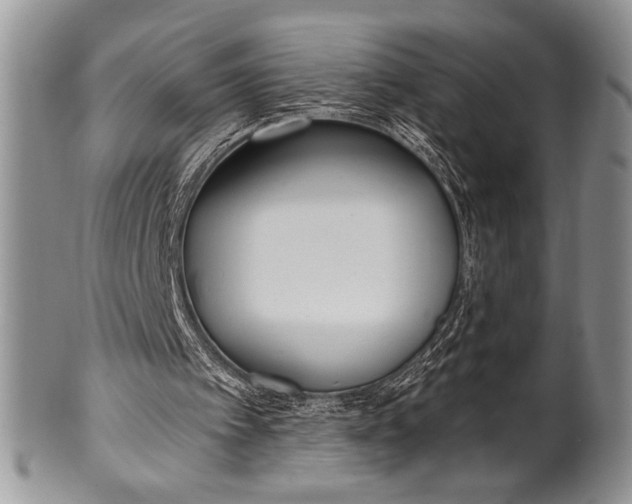 X0000100360097200806201614