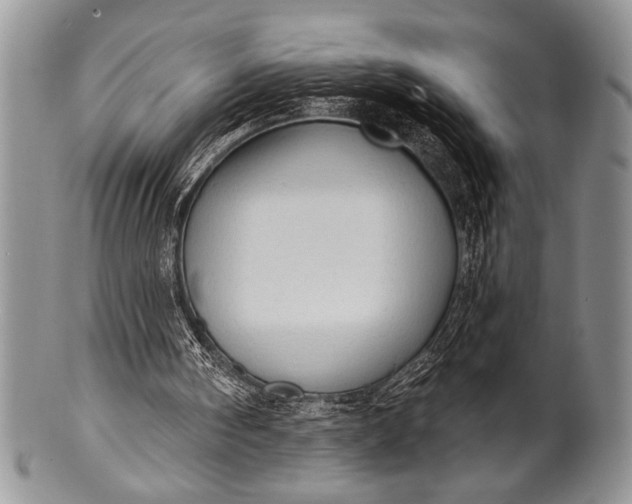 X0000100360098200806201613