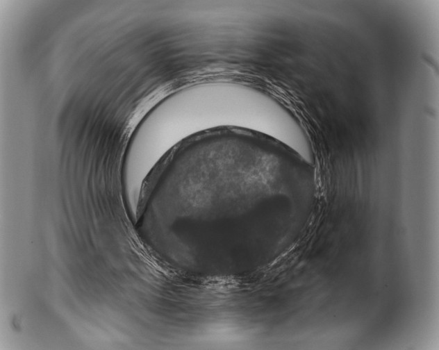 X0000100360099200806201613