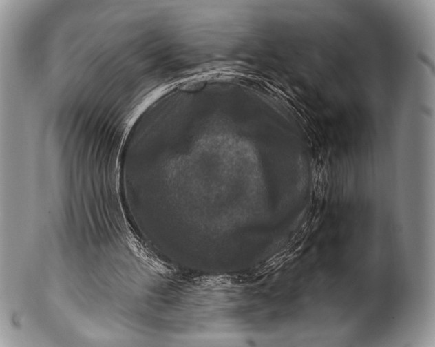 X0000100360100200806201613