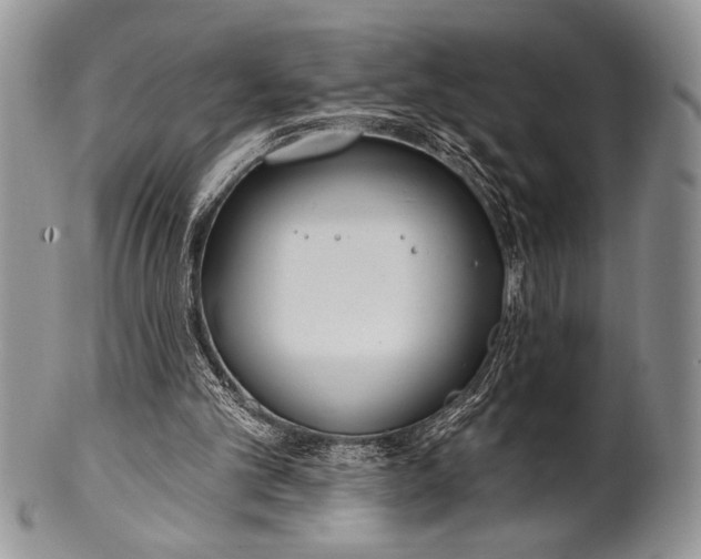 X0000100360101200806201613