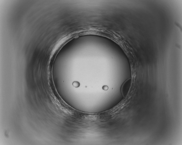 X0000100360102200806201613