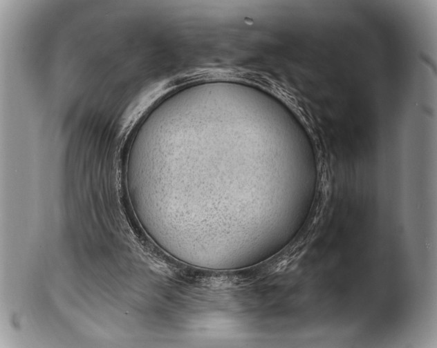 X0000100360103200806201613