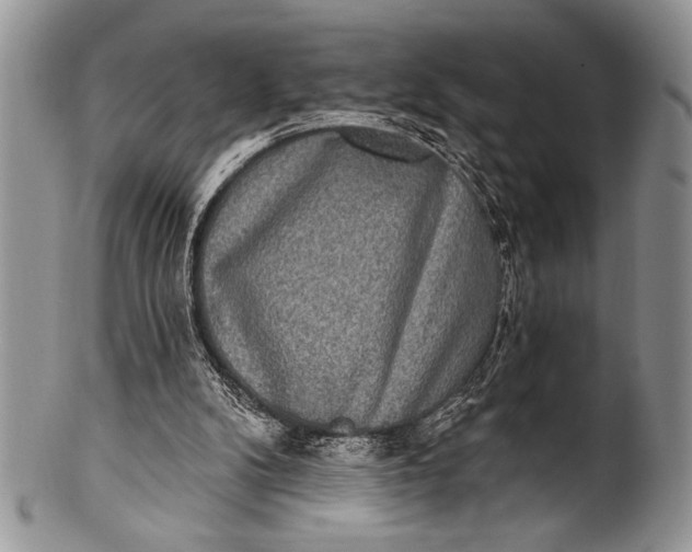 X0000100360104200806201613