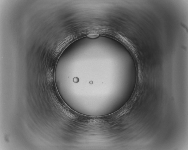 X0000100360105200806201613