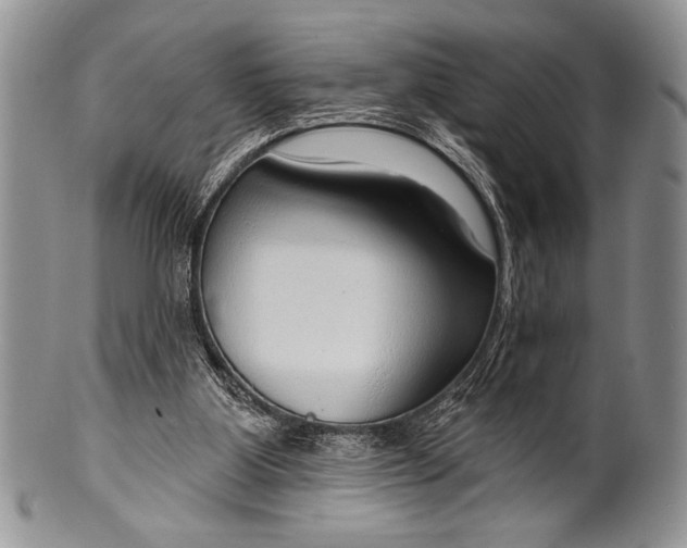 X0000100360107200806201613