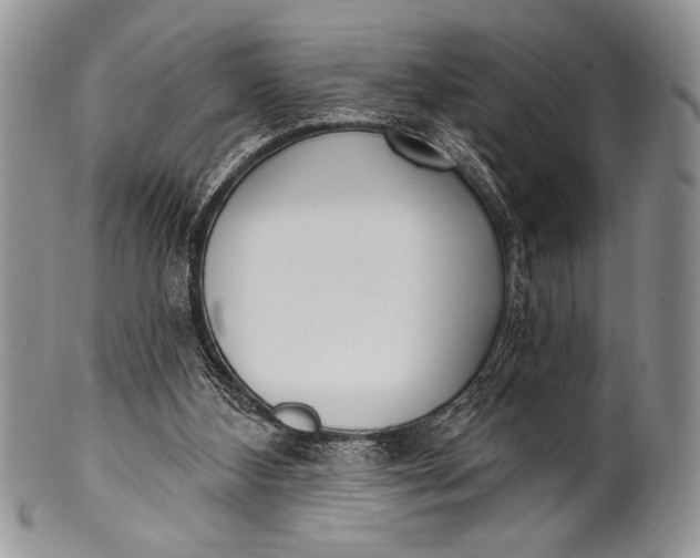 X0000100360108200806201613