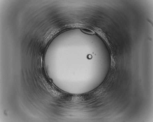 X0000100360109200806201613