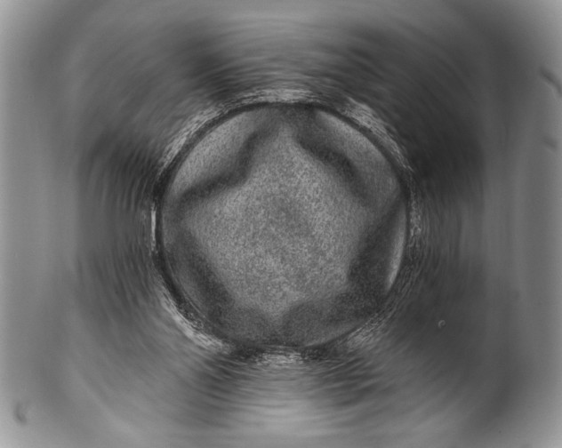 X0000100360110200806201613