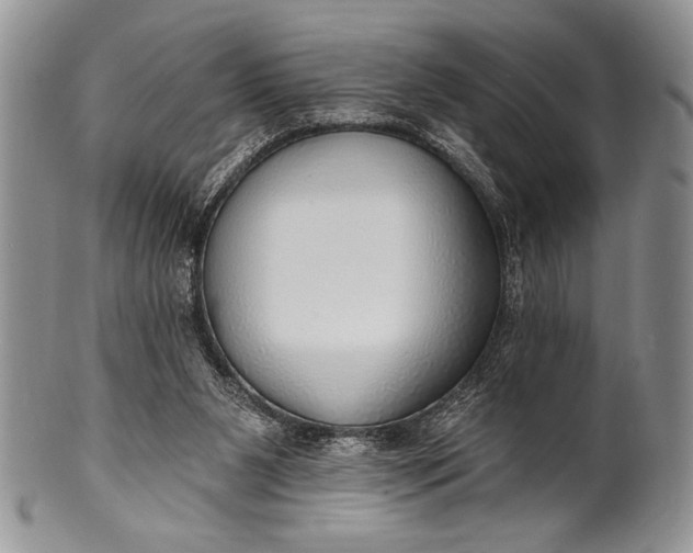 X0000100360111200806201613