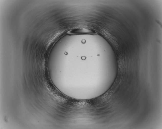 X0000100360112200806201613