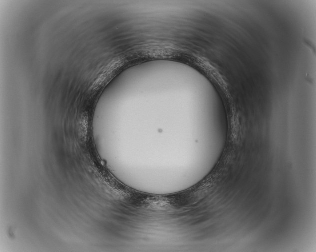 X0000100360113200806201613