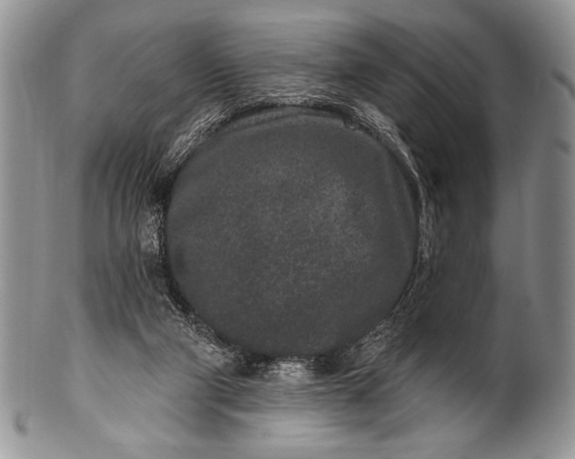 X0000100360114200806201613