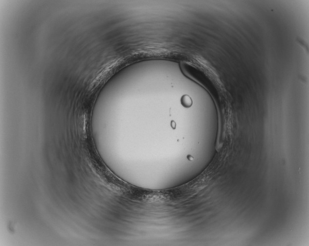 X0000100360115200806201613