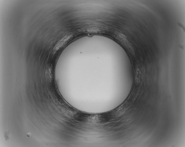 X0000100360116200806201613