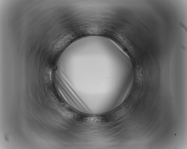 X0000100360117200806201613