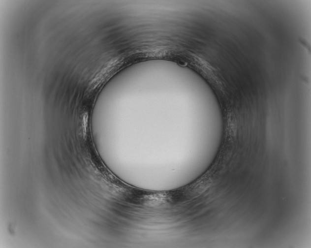 X0000100360118200806201613