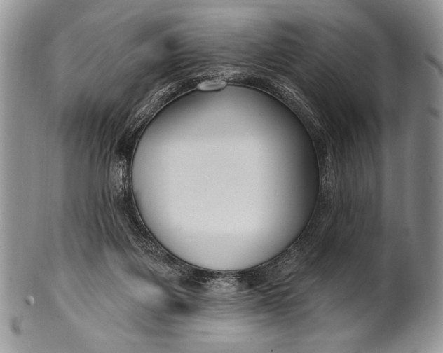 X0000100360119200806201613