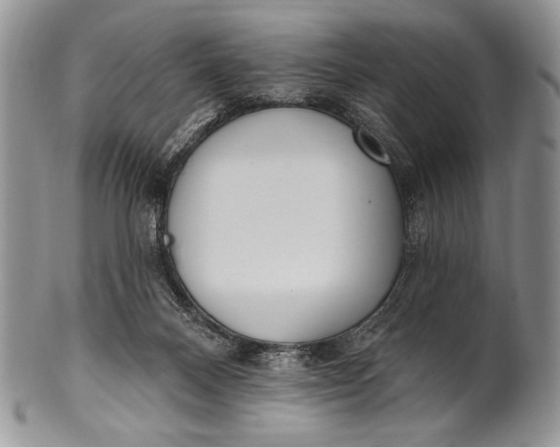 X0000100360120200806201613