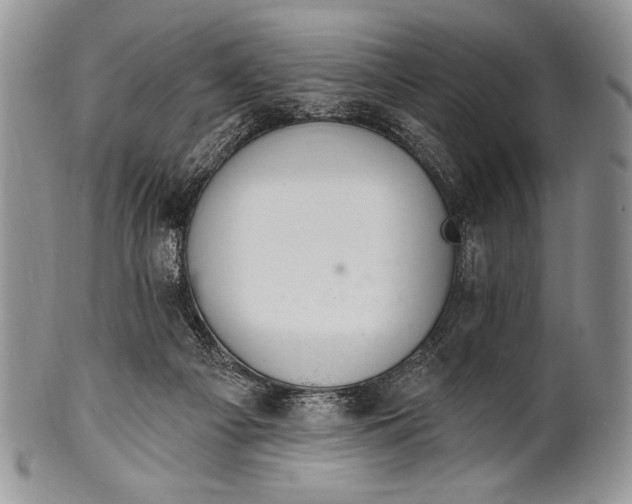 X0000100360121200806201613