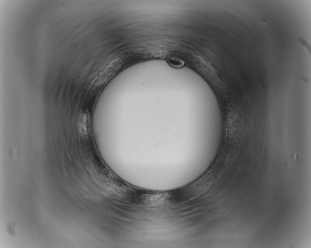 X0000100360122200806201613