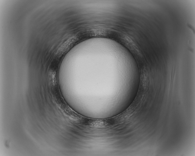 X0000100360123200806201613