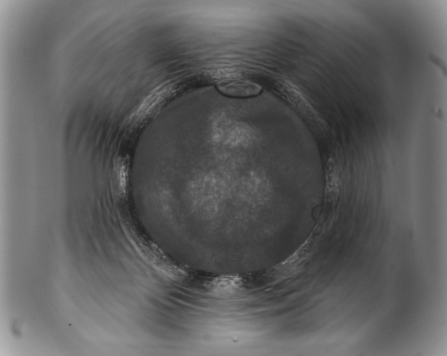 X0000100360124200806201613