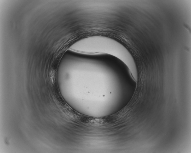 X0000100360125200806201613