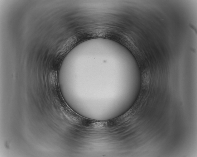 X0000100360126200806201613