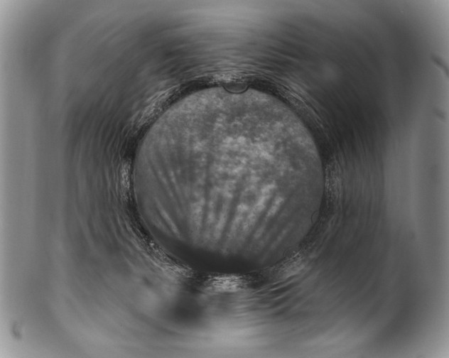 X0000100360127200806201613