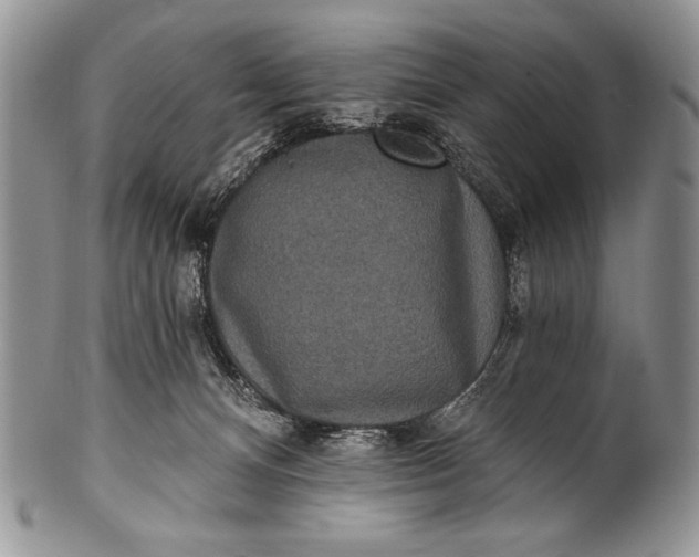 X0000100360128200806201613