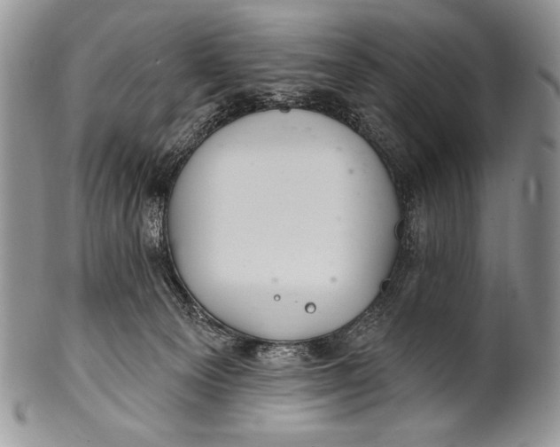 X0000100360129200806201613