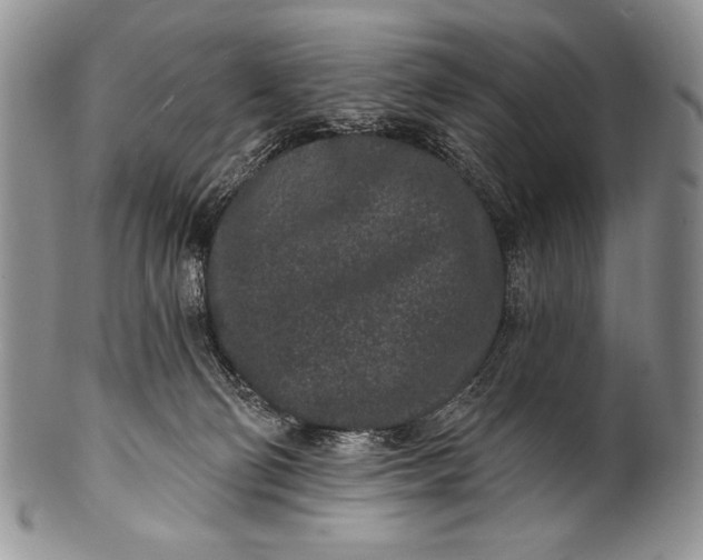 X0000100360130200806201613