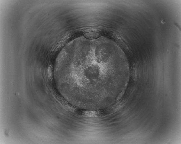 X0000100360131200806201613