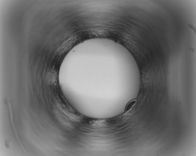 X0000100360132200806201613