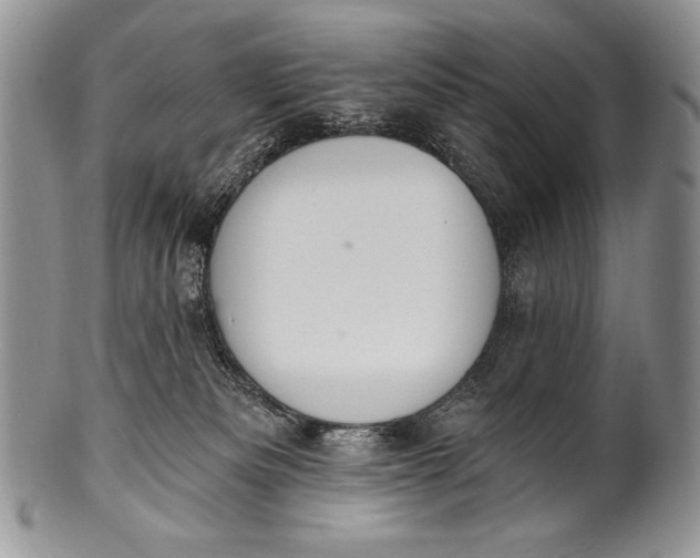 X0000100360133200806201613