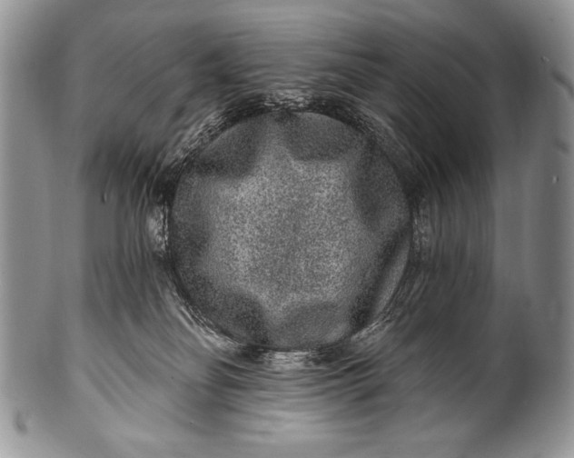 X0000100360134200806201613