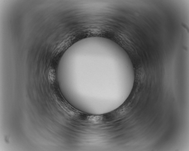 X0000100360135200806201613