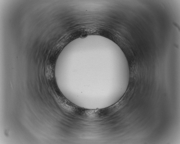 X0000100360136200806201613