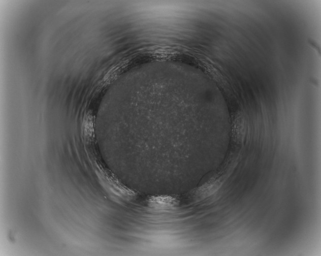 X0000100360137200806201613