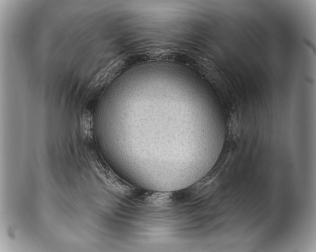 X0000100360138200806201613