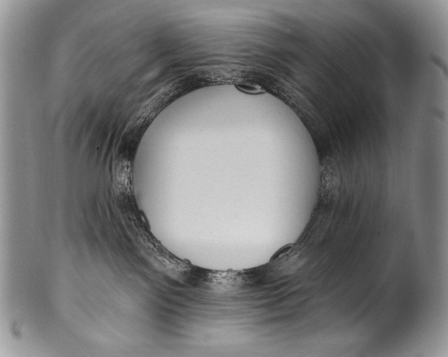 X0000100360141200806201613