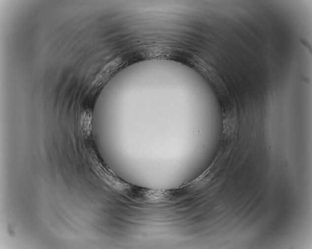 X0000100360142200806201613