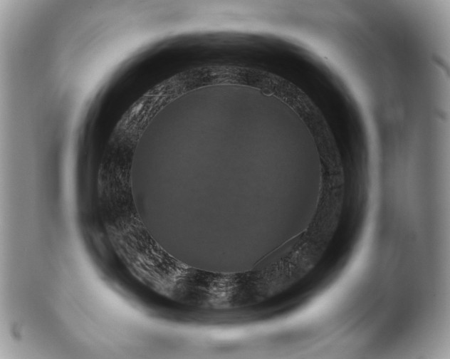 X0000100360143200806201613