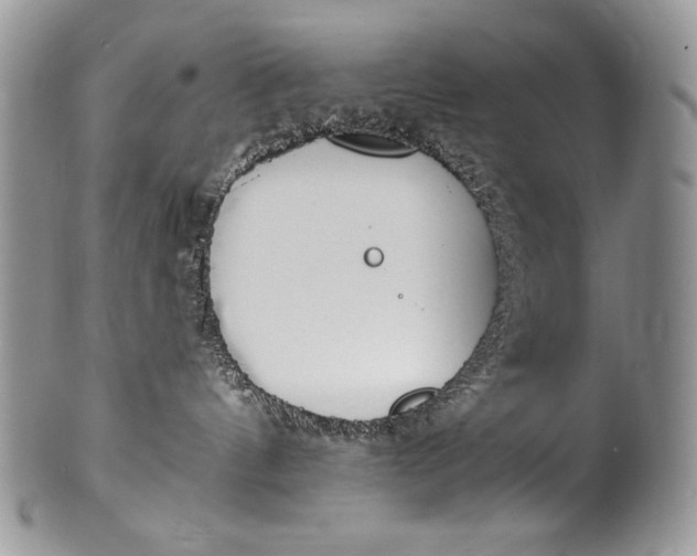 X0000100360144200806201613